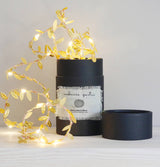 Melanie Porter Fairy Lights Battery Operated -Multiple Colour Options