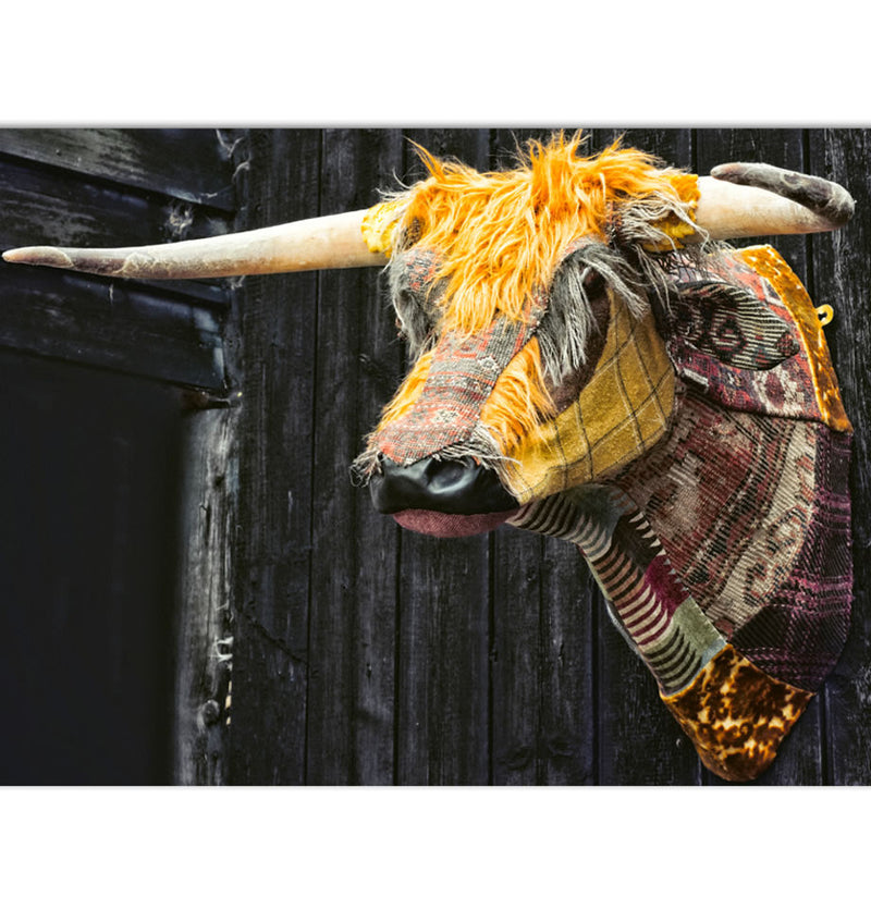 Textile Taxidermy Dougal the Highland Bull